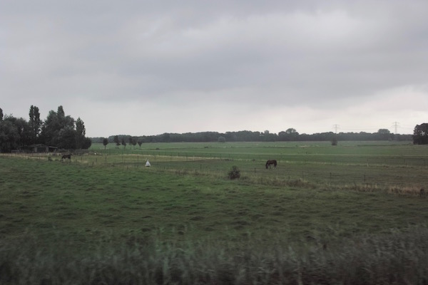 from train